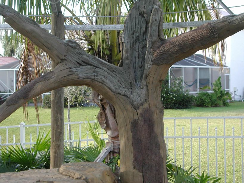 Concrete tree with aged look