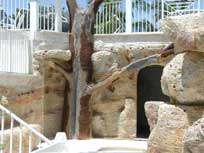 Cement Tree