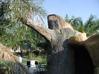 Old Tree