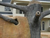 Tree in Cave